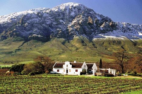 Champs de vignes