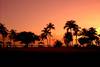 Etats-Unis - Miami, Autotour Floride en Famille 3*