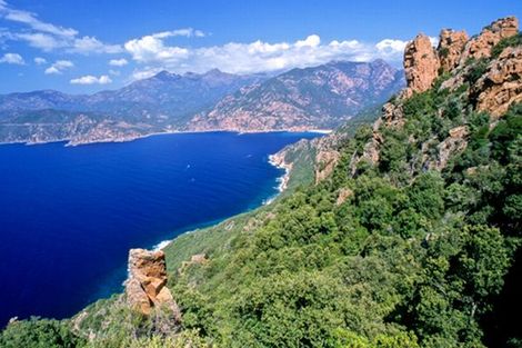 Paysage