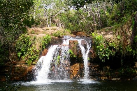 Photo Générique - Amazonie