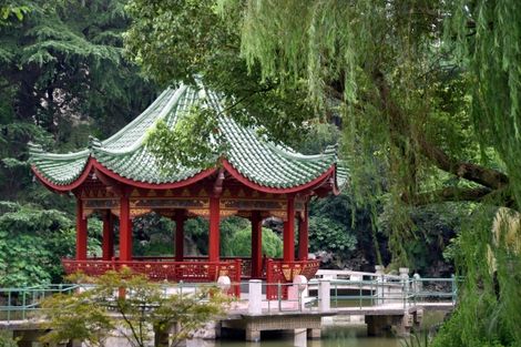 Chine