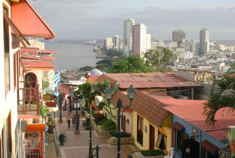 Rue de Guayaquil