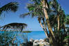 FLORIDE PREMIERES