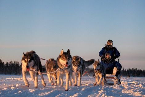Excursion en traineaux de chiens