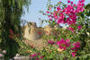 Delhi - Inde le Rajasthan