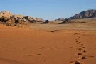 D&eacute;couvrez votre Circuit Jordanie Express 3*
