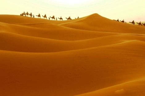 Désert