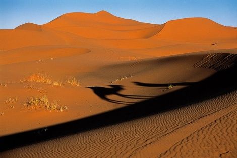 Magie grand sud dunes