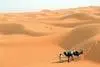 Séjour Voyage Maroc