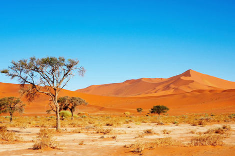 Desert