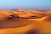 OMAN PREMIERES