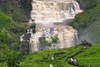 SPLENDEURS DU SRI LANKA