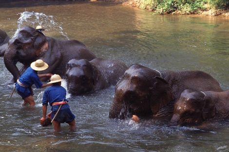 thailande - Circuit Thailande Authentique 
