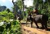 Thailande - Bangkok, Combiné circuit et hôtel Jungle Safari et Phuket 