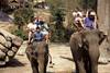Thailande - Bangkok, Circuit Indispensables saveurs de Thailande