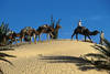 Tunisie - Djerba, Circuit 4x4 la Saharienne 3*
