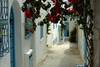 DECOUVERTE DE LA TUNISIE (Djerba)