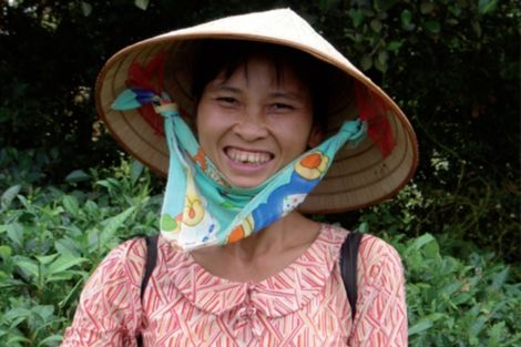 Vietnam Decouverte - Vietnam Decouverte