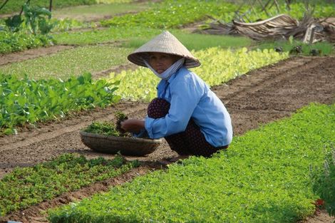 Charmes du Vietnam