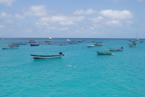 Barques