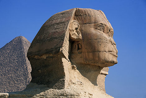sphynx