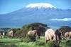 Kenya - Nairobi, Combiné circuit et hôtel Safari Terre Sauvage et Hôtel Reef  3*