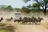 Kenya - Nairobi, Combiné circuit et hôtel Safari Terre Sauvage et Hotel Travellers Beach  4*