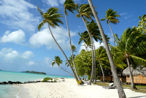 Plage de l'hôtel - Des Iles des Ailes - 3 Iles Pearl - Tahiti/Bora Bora/Huahine