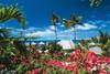 Polynesie Francaise - Papeete, Combiné hôtels COMBINE TAHITI BORA BORA 3*