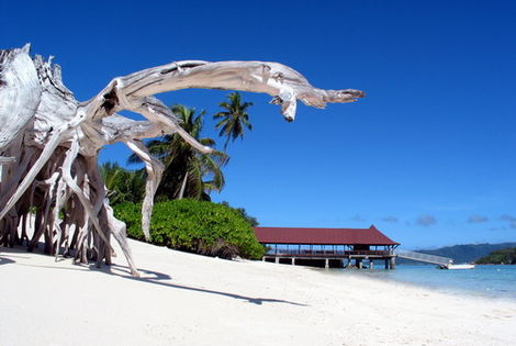 Plage du New Emerald Cove - Coco en prestige plus