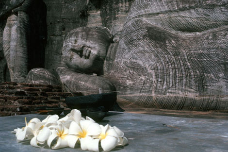 Bouddha
