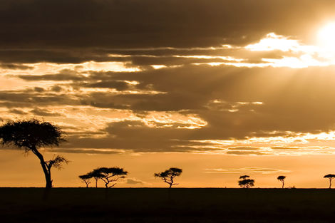 Tanzanie
