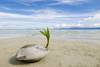 Thailande - Bangkok, Combiné hôtels 2 Iles - Koh Samui/Koh Phangan - Hotel White House Resort & Spa 4* & Hotel Panviman 4*
