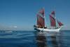 Bali - Denpasar, Croisière De Flores aux dragons de Komodo