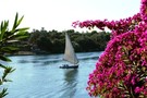 Egypte - Louxor, Croisière au Fil du Nil 
				     5*