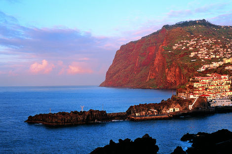 Canaries