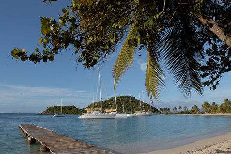 Ile de Mayereau - Croisière à la voile aux Grenadines 5D + Hôtels à Union et Ste-Lucie