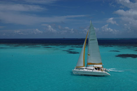 Tobago Cays Island - Croisière à la voile aux Grenadines 5D + Hôtels à Union et Ste-Lucie