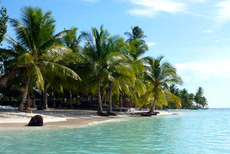 PLAGE - Voile à Saint-Domingue