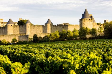 Carcassonne et le vignoble