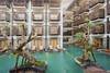 Bali - Denpasar, Hôtel Oasis Lagoon Sanur 4*