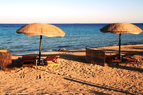 Plage - Gorgonia Beach