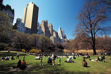 Central park - Astor On The Park