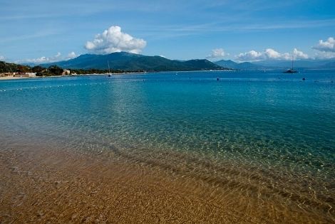 plage d'Ajaccio - Albion