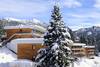 France Rhône-Alpes - Chamrousse, Village Vacances Le Domaine de l'Arselle