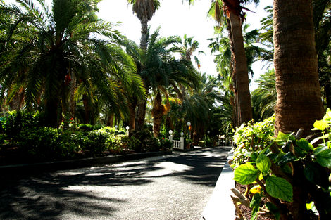 jardins - Stella Jandia