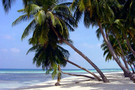 Guadeloupe - Pointe A Pitre, Résidence locative Bord de Mer
