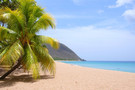 Guadeloupe - Pointe A Pitre, Résidence hôtelière Caraibes Bonheur
				     4*