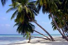 Guadeloupe - Pointe A Pitre, Hôtel Karaïbes
				     2*