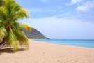 Guadeloupe - Pointe A Pitre, Hôtel Petit Havre
				     2*